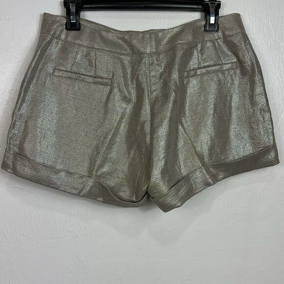 Mint Linen Cotton Silver Shimmer Mid Rise Shorts With Pockets Size 6 - Picture 3 of 10
